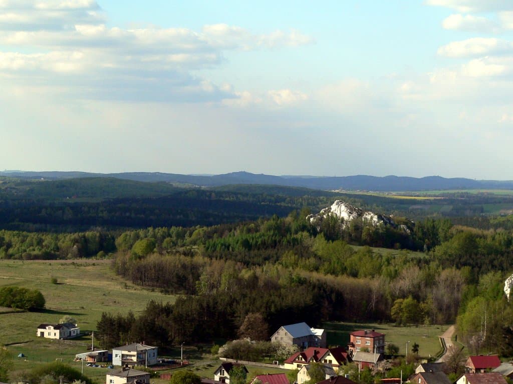 Góra Birów w Podzamczu, palisada grodu na wzgórzu naprzeciw zamku