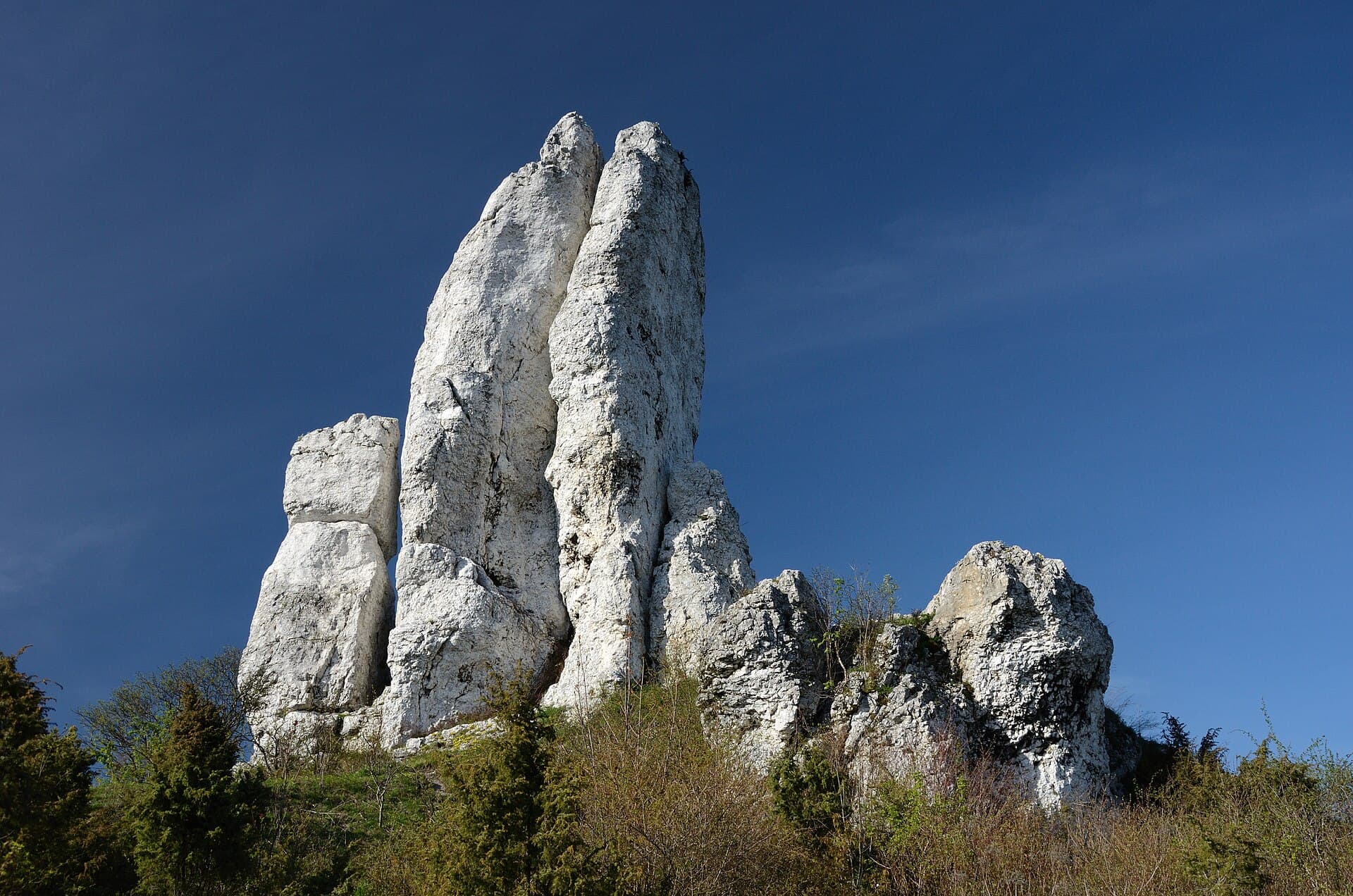 Turnia Wysoka w Skałach Rzędkowickich