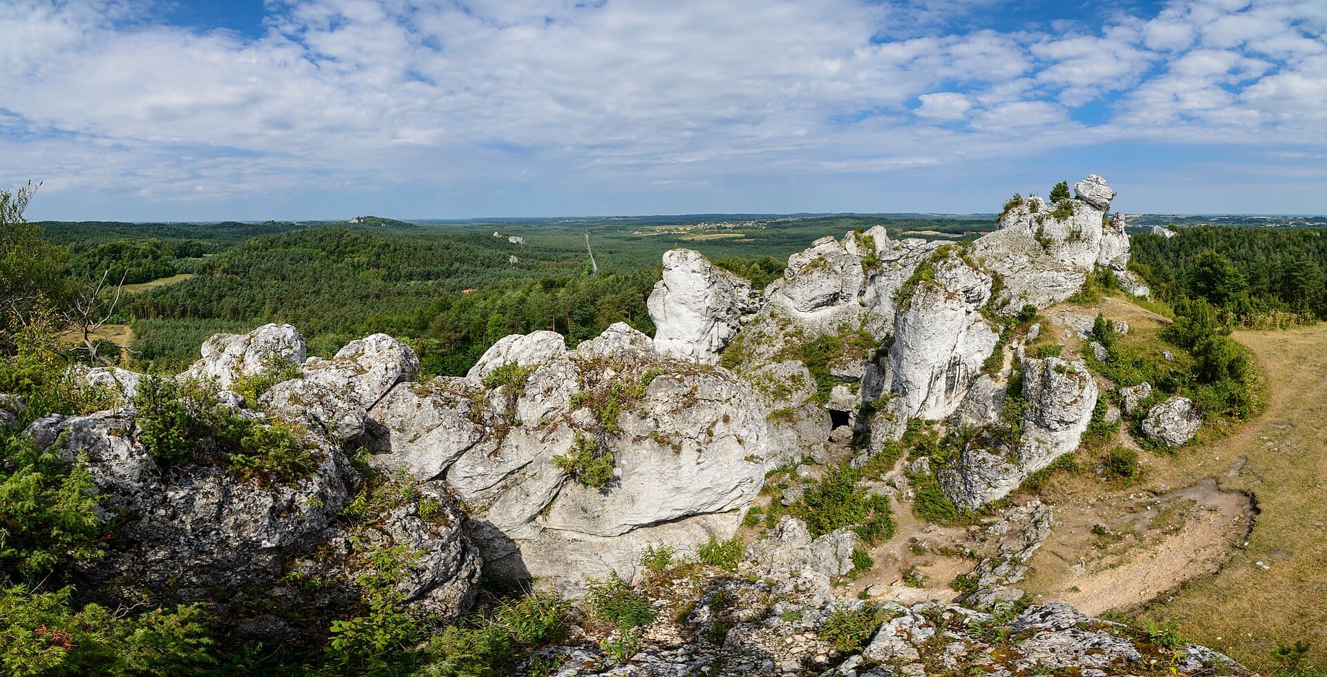 Skałki na Górze Zborów koło Podlesic
