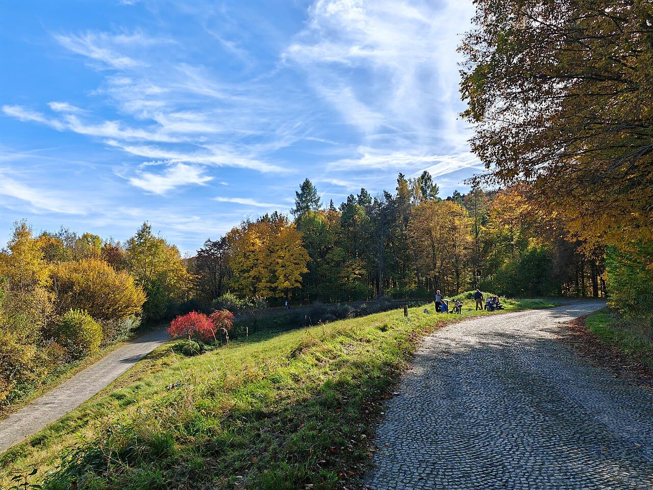 Dolina w Ojcowie
